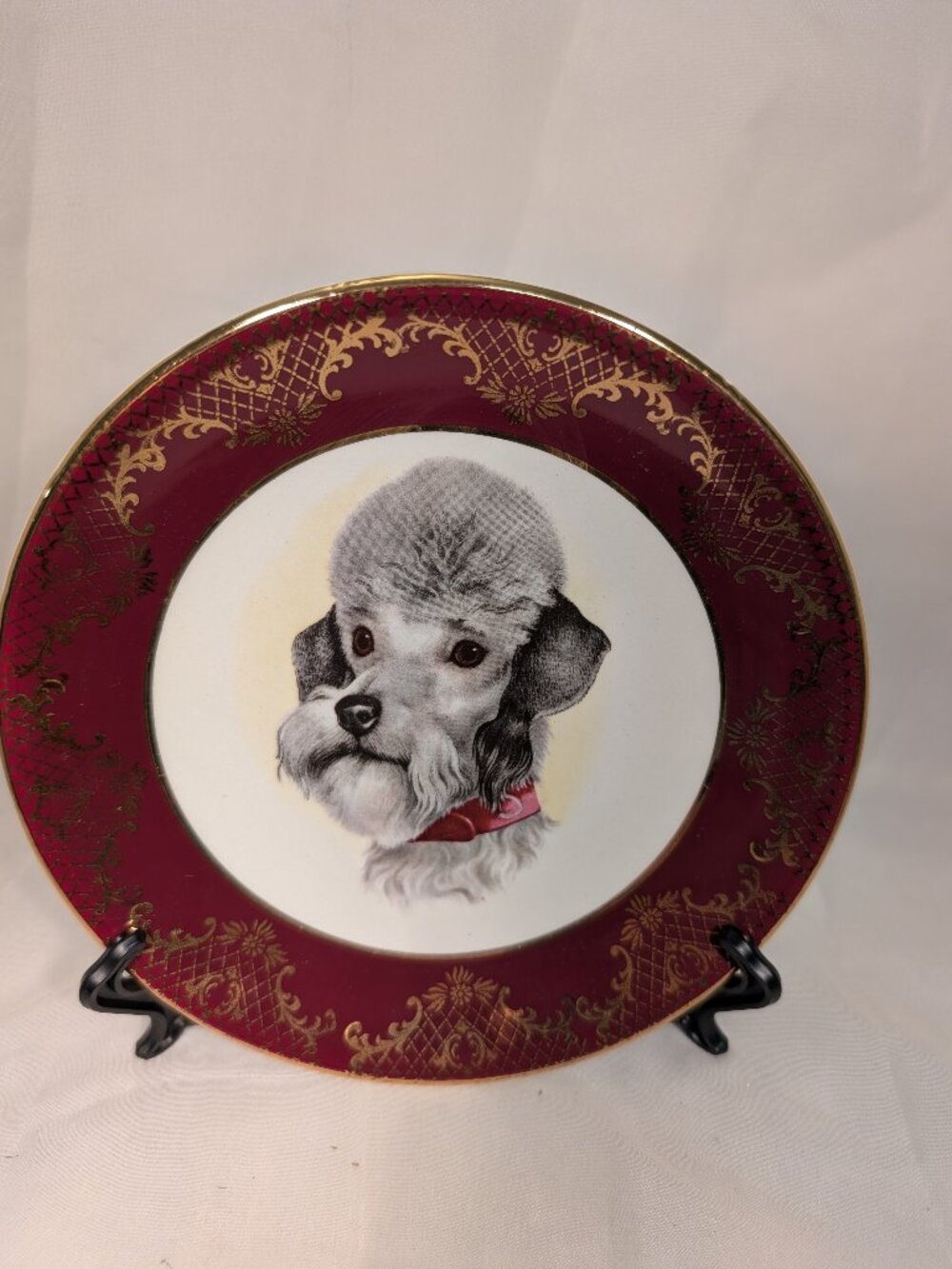 Is this your BABY  Dog  STAND INCLUDED Only Way to show Your Pride & Joy